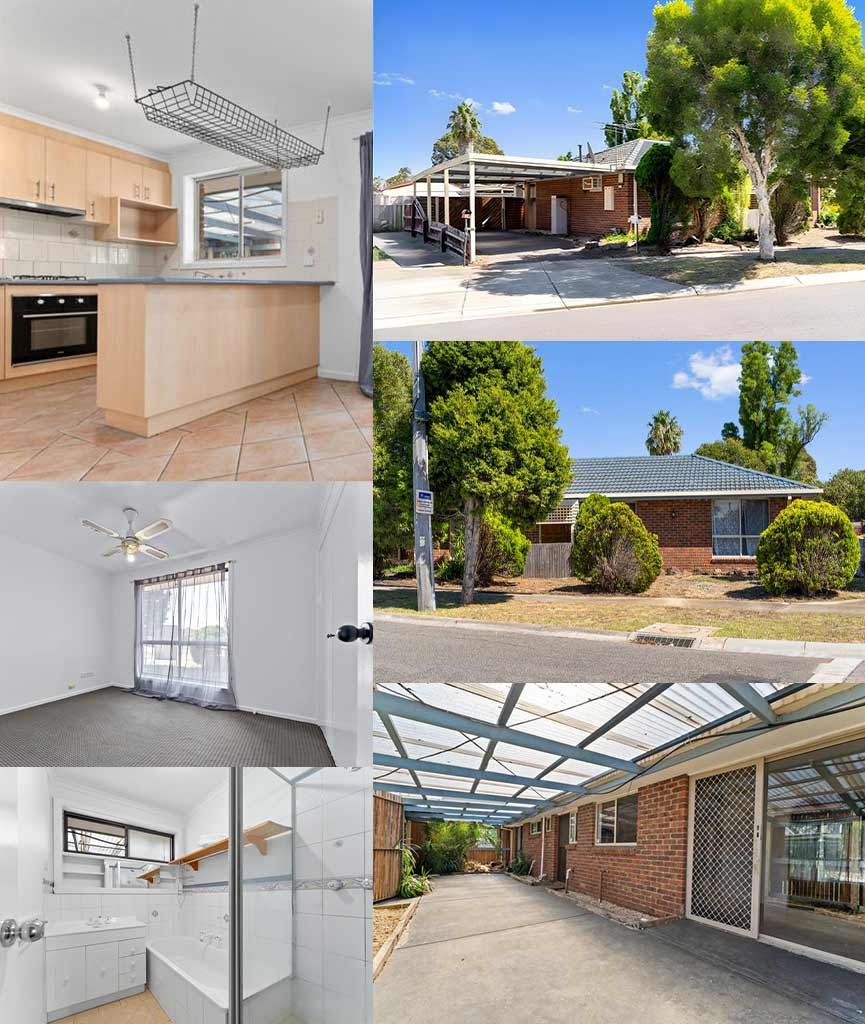 Collage-View-for-Website