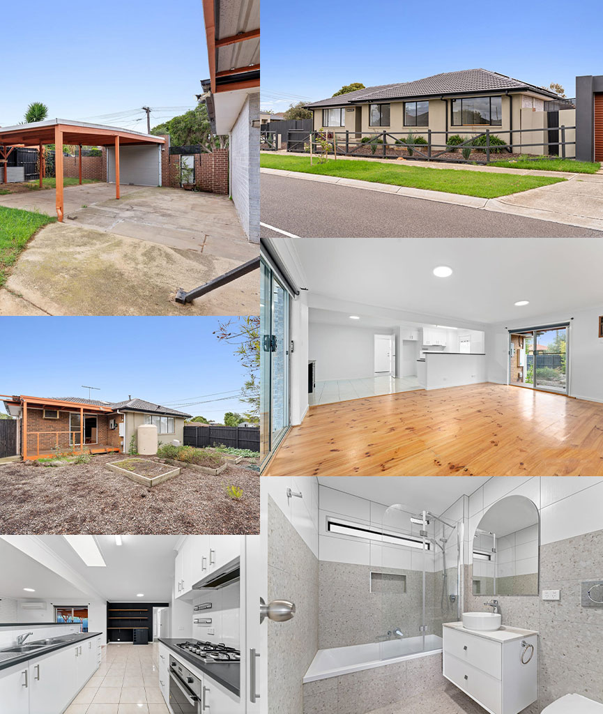 Collage-View-for-Website