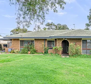 project Thumbnail project 30